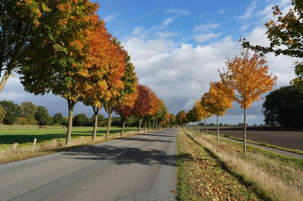 Durable temporary road mats for every access need